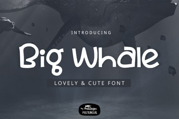 Big Whale: A Playful Display Font for Creative Projects