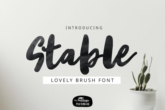 Stable: A Quirky Display Font for Bold Branding